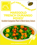 Marigold - French Durango Mixed - Seeds to Sow Limited