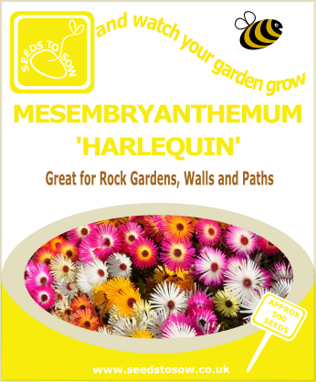 Mesembryanthemum - Harlequin - Seeds to Sow Limited