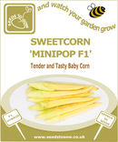 Sweetcorn Minipop F1 - Seeds to Sow Limited