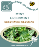 Seed Box - Herb Seed Collection - Seeds to Sow Limited