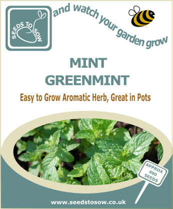 Mint (Greenmint) - Seeds to Sow Limited