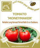 Tomato Moneymaker - Seeds to Sow Limited