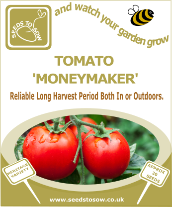 Tomato Moneymaker - Seeds to Sow Limited