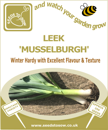 Leek Musselburgh - Seeds to Sow Limited
