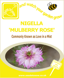 Nigella Mulberry Rose - Seeds to Sow Limited