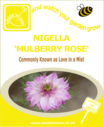 Nigella Mulberry Rose - Seeds to Sow Limited