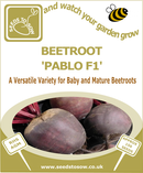 Beetroot Pablo F1 - Seeds to Sow Limited