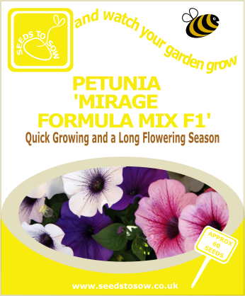 Petunia - Mirage Formula Mix F1 - Seeds to Sow Limited