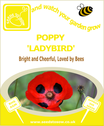 Poppy - Ladybird - Seeds to Sow Limited