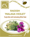Radish Malaga Violet - Seeds to Sow Limited
