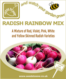 Seed Box - Grow the Rainbow - Seeds to Sow Limited