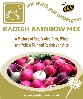 Radish Rainbow - Seeds to Sow Limited