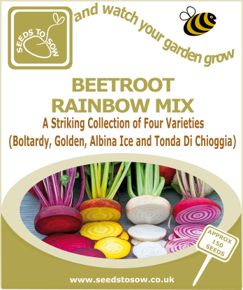 Beetroot Rainbow Mix - Seeds to Sow Limited