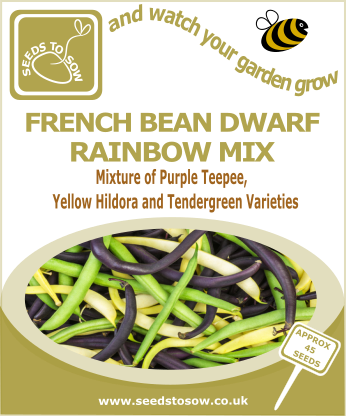 French Bean Dwarf Rainbow Mix - Seeds to Sow Limited