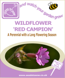 Seed Box - Wildflower Seed Collection - Seeds to Sow Limited