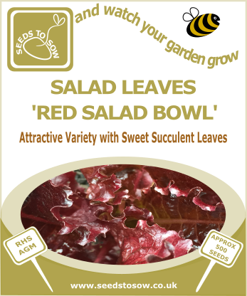 Salad Leaves Red Salad Bowl - Seeds to Sow Limited