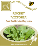 Salad Leaves Rocket 'Victoria' - Seeds to Sow Limited