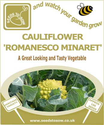 Cauliflower Romanesco Minaret - Seeds to Sow Limited