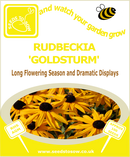 Rudbeckia - Goldsturm - Seeds to Sow Limited
