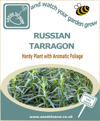 Russian Tarragon - Seeds to Sow Limited