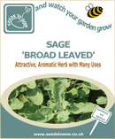 Sage - Broad Leaved - Seeds to Sow Limited