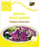 Seed Box - Perennial Flower Seed Collection - Seeds to Sow Limited