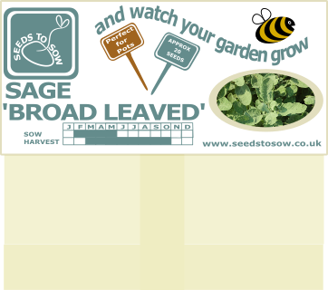 Sage - Broad Leaved - Seeds to Sow Limited