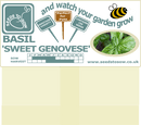 Basil Sweet Genovese - Seeds to Sow Limited