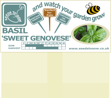Basil Sweet Genovese - Seeds to Sow Limited