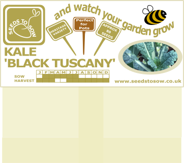 Kale Nero Di Toscana (Black Tuscan Kale) - Seeds to Sow Limited