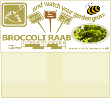 Broccoli Raab (Cima Di Rapa) - Seeds to Sow Limited