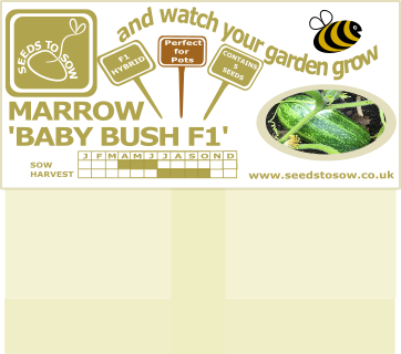 Marrow Bush Baby F1 - Seeds to Sow Limited