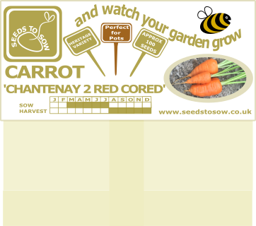 Carrot Chantenay 2 Red Cored - Seeds to Sow Limited