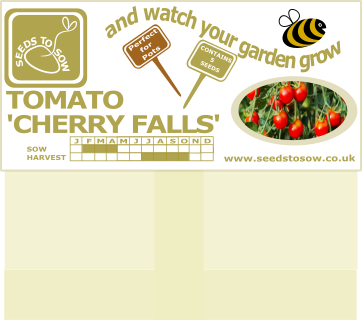 Tomato Cherry Falls - Seeds to Sow Limited