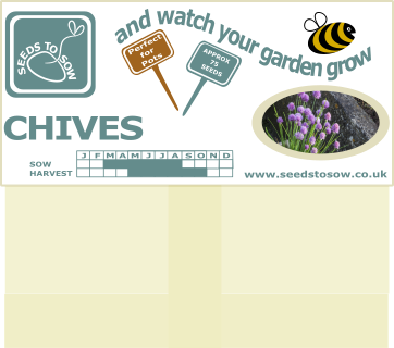 Chives - Seeds to Sow Limited