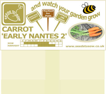 Carrot Early Nantes 2 - Seeds to Sow Limited