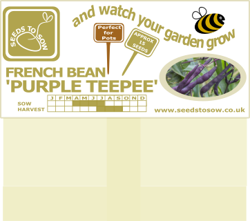 French Dwarf Bean Purple Teepee - Seeds to Sow Limited