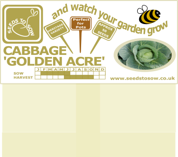 Cabbage Golden Acre Earliest of all - Seeds to Sow Limited