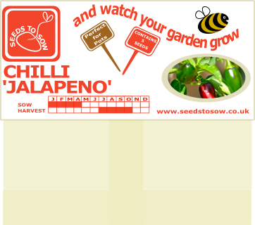 Chilli Jalapeno - Seeds to Sow Limited