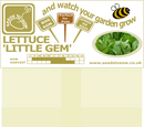 Lettuce Little Gem - Seeds to Sow Limited