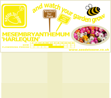 Mesembryanthemum - Harlequin - Seeds to Sow Limited
