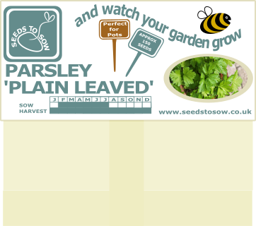 Parsley Plain Leaved - Seeds to Sow Limited