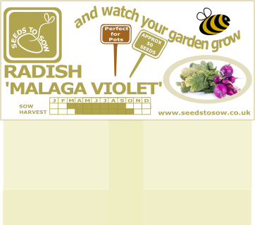Radish Malaga Violet - Seeds to Sow Limited