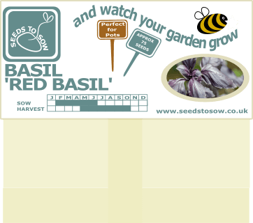 Basil Red Basil - Seeds to Sow Limited