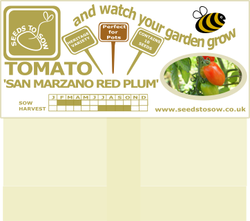 Tomato San Marzano Red Plum - Seeds to Sow Limited