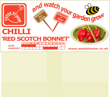 Chilli Red Scotch Bonnet - Seeds to Sow Limited