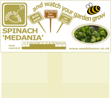 Spinach  Medania - Seeds to Sow Limited