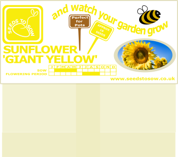 Sunflower - Giant Yellow Single - Seeds to Sow Limited