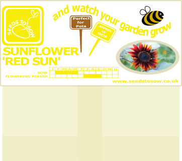 Sunflower - Red Sun - Seeds to Sow Limited