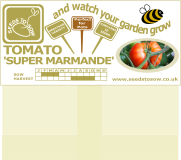 Tomato Super Marmande - Seeds to Sow Limited